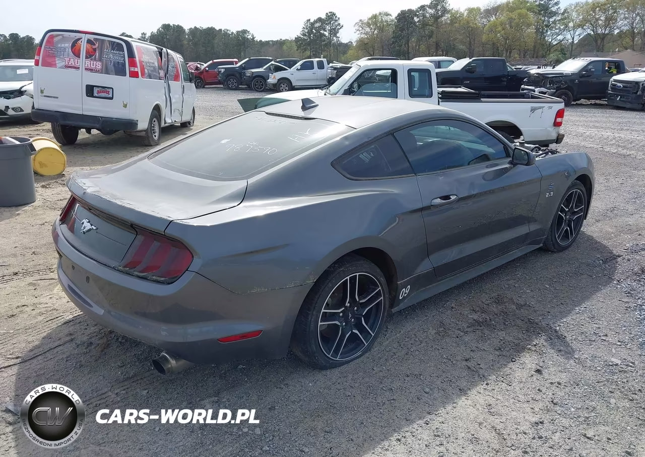 2021 Ford Mustang Ecoboost Fastback VIN:1FA6P8TH8M5151446 - 4