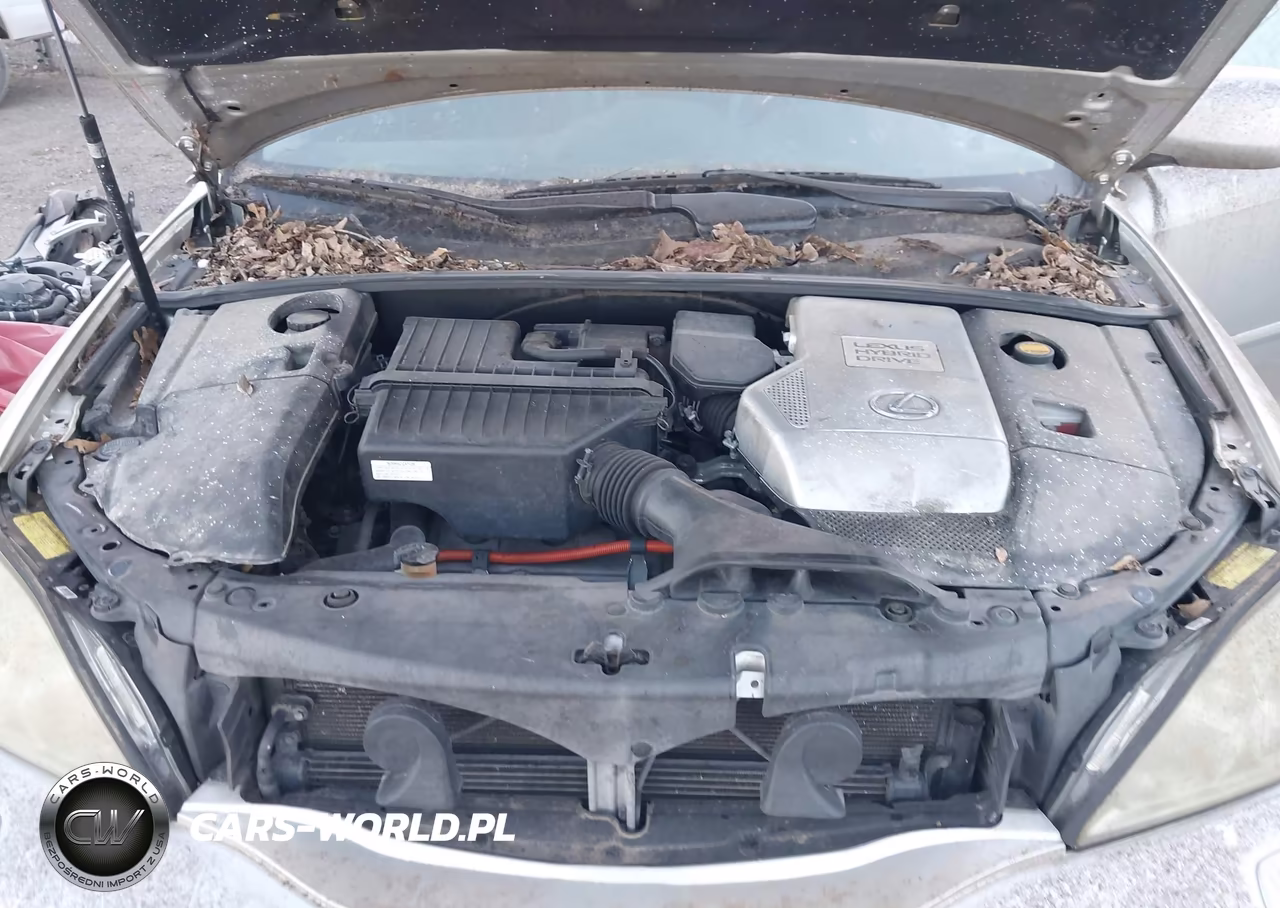2007 Lexus Rx 400H VIN:JTJHW31U072022872 - 10