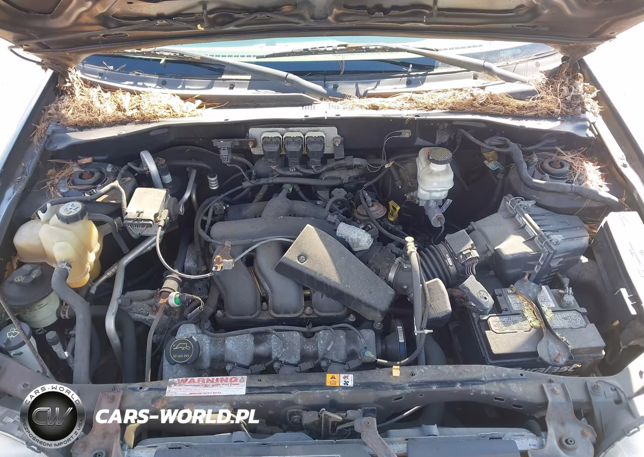 2006 Ford Escape Xlt-Xlt Sport VIN:1FMYU93116KA12568 - 10