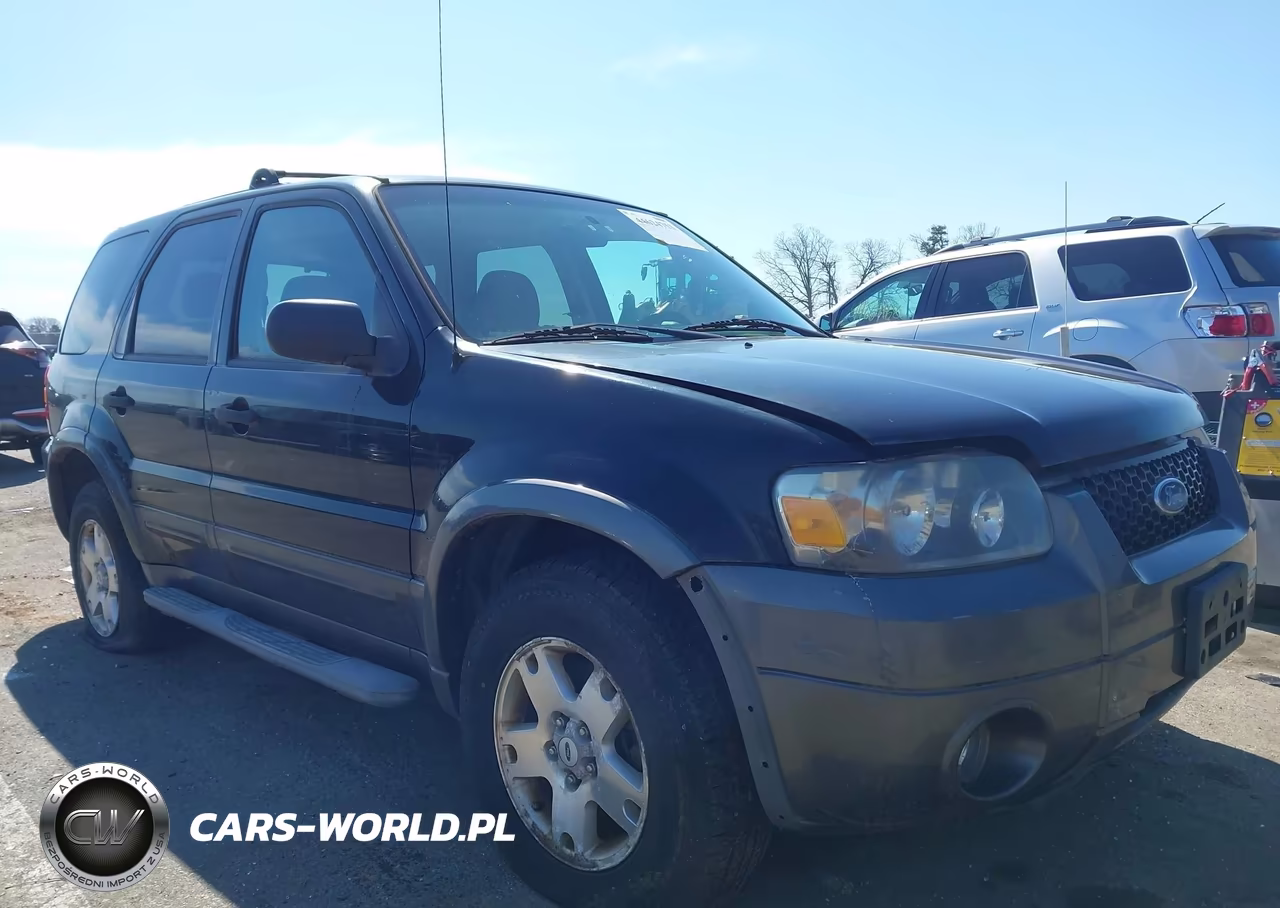 2006 Ford Escape Xlt-Xlt Sport VIN:1FMYU93116KA12568 - 12