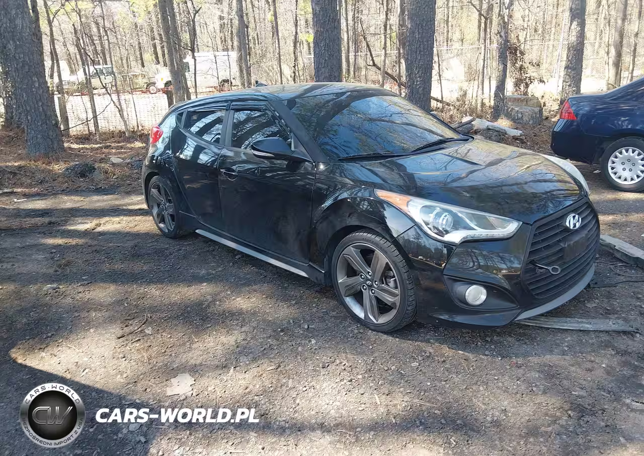 2014 Hyundai Veloster Turbo W-Black