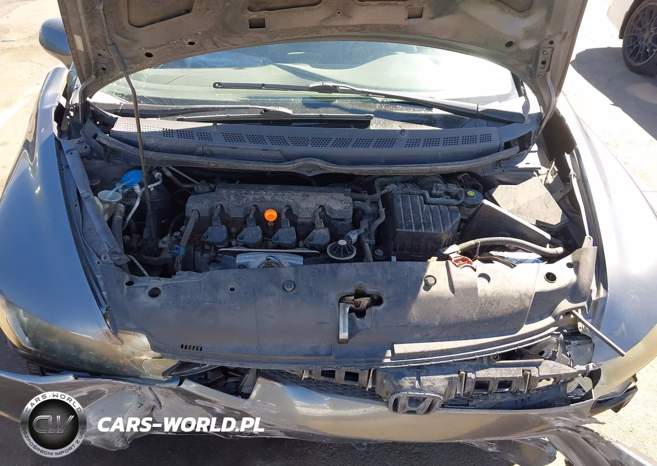 2010 Honda Civic Lx VIN:19XFA1F59AE045091 - 10