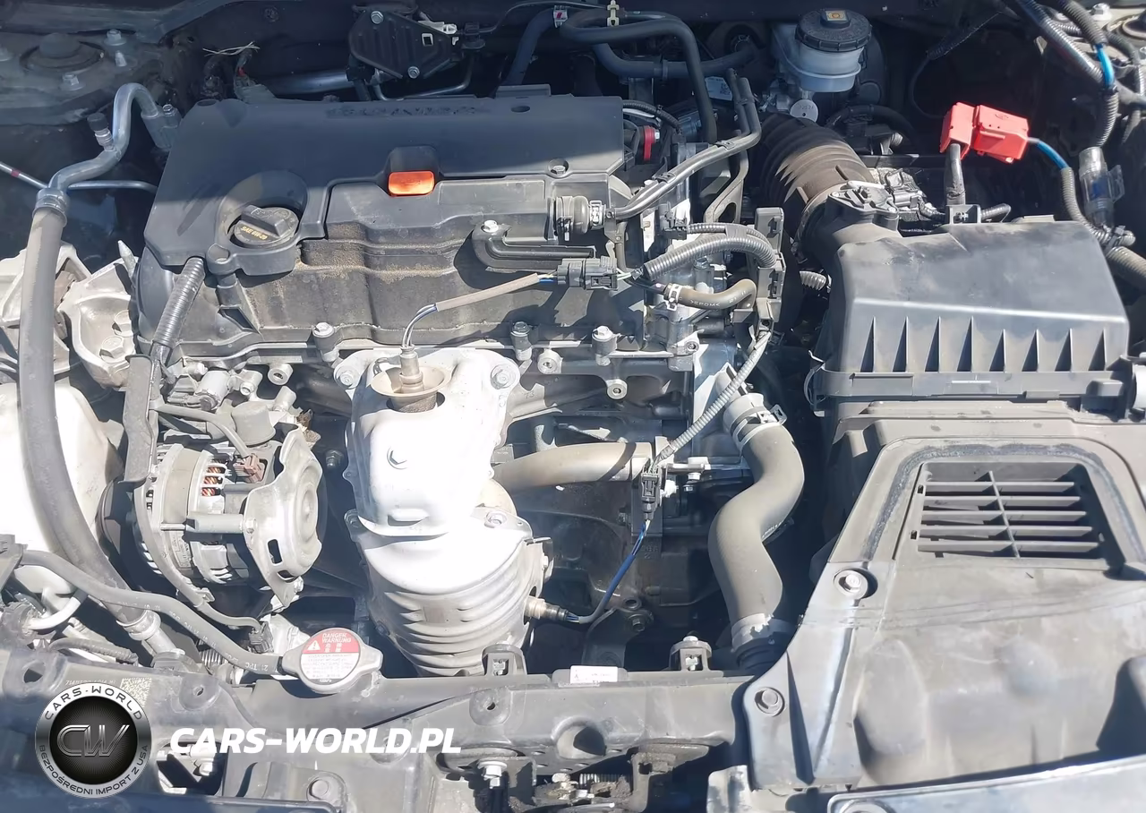 2023 Honda Civic Sport VIN:2HGFE2F51PH519561 - 10