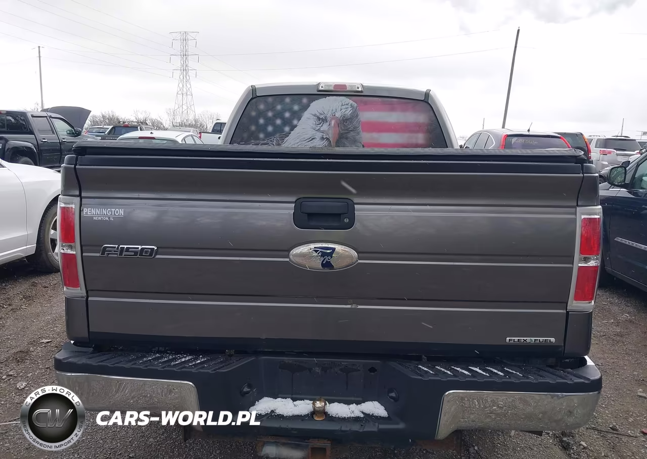 2012 Ford F-150 Xlt VIN:1FTFW1EF2CFA06797 - 15