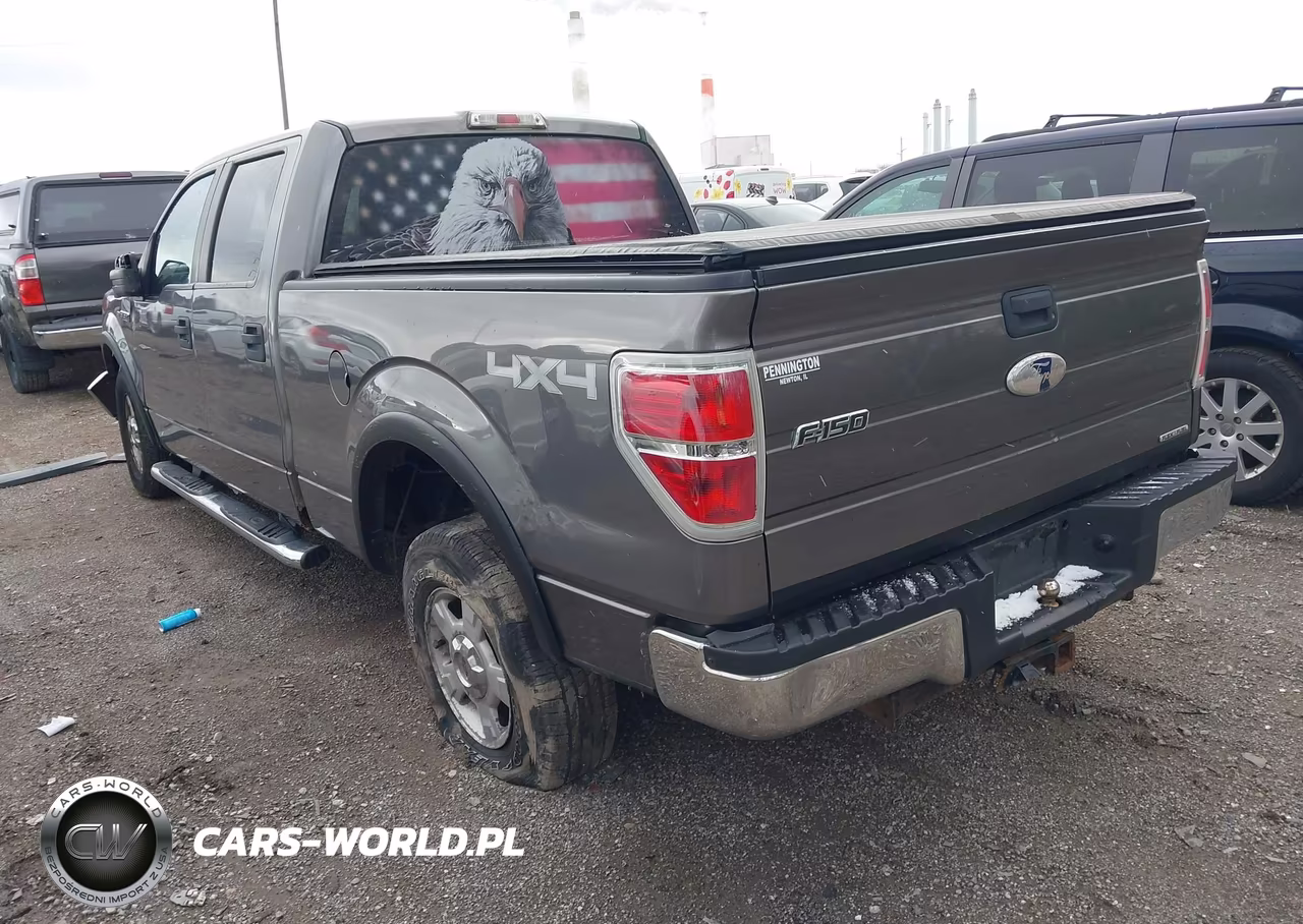 2012 Ford F-150 Xlt VIN:1FTFW1EF2CFA06797 - 3