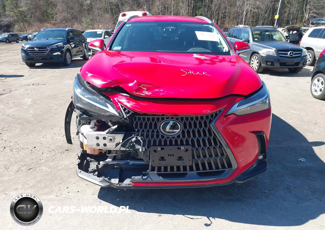2023 Lexus Nx 250 VIN:JTJADCEZ7P2002552 - 12