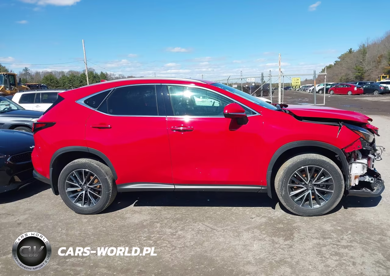 2023 Lexus Nx 250 VIN:JTJADCEZ7P2002552 - 13