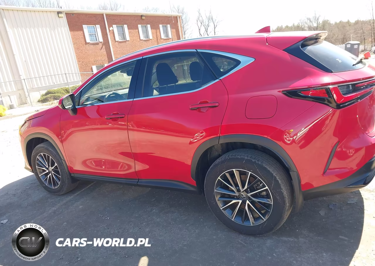 2023 Lexus Nx 250 VIN:JTJADCEZ7P2002552 - 14