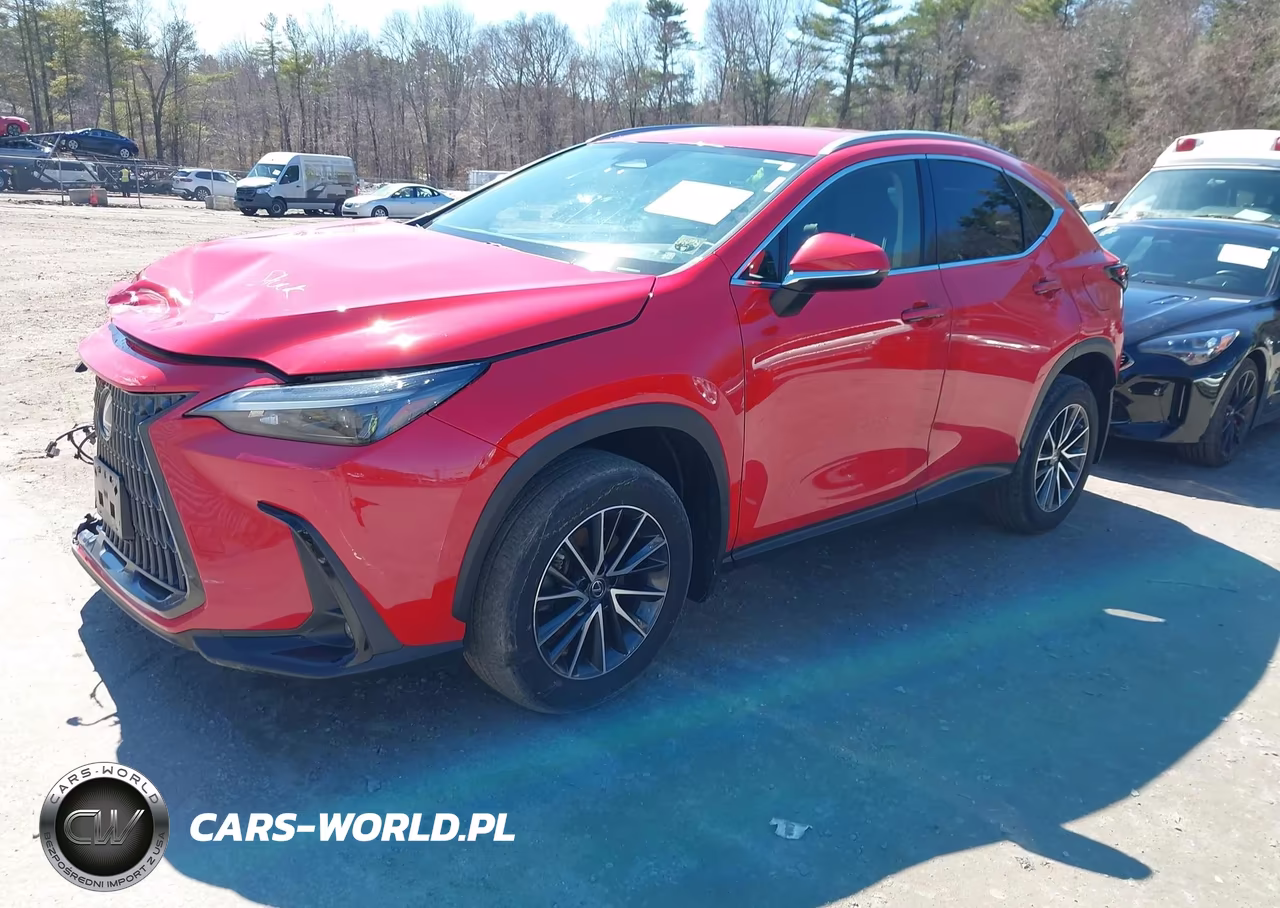 2023 Lexus Nx 250 VIN:JTJADCEZ7P2002552 - 2