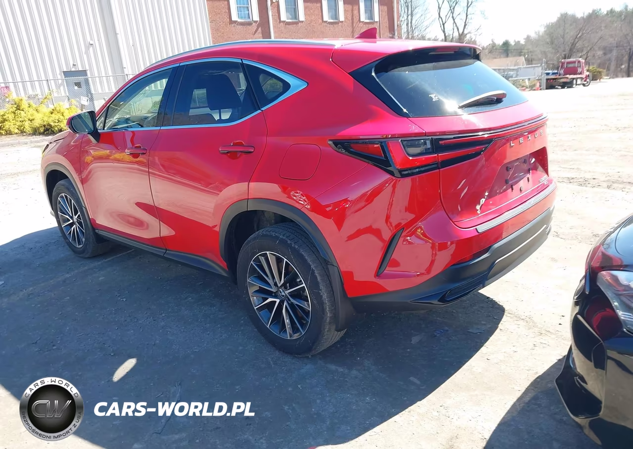 2023 Lexus Nx 250 VIN:JTJADCEZ7P2002552 - 3