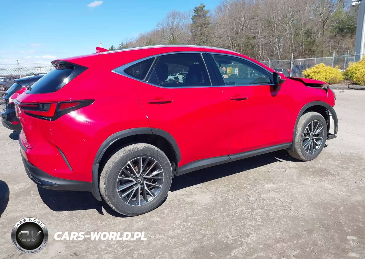 2023 Lexus Nx 250 VIN:JTJADCEZ7P2002552 - 4