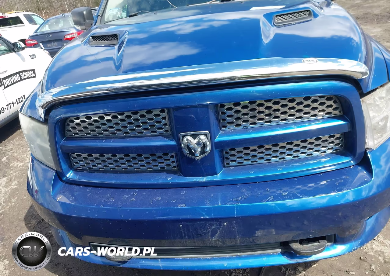 2010 Dodge Ram 1500 Slt-Sport-Trx VIN:1D7RV1GT7AS176490 - 12