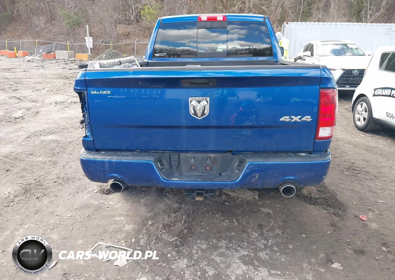 2010 Dodge Ram 1500 Slt-Sport-Trx VIN:1D7RV1GT7AS176490 - 16
