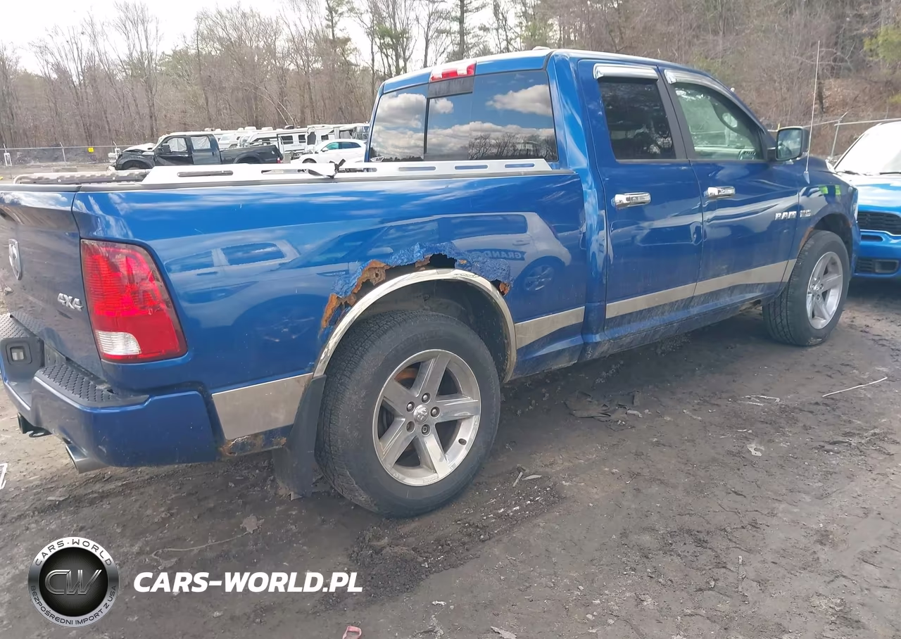 2010 Dodge Ram 1500 Slt-Sport-Trx VIN:1D7RV1GT7AS176490 - 4