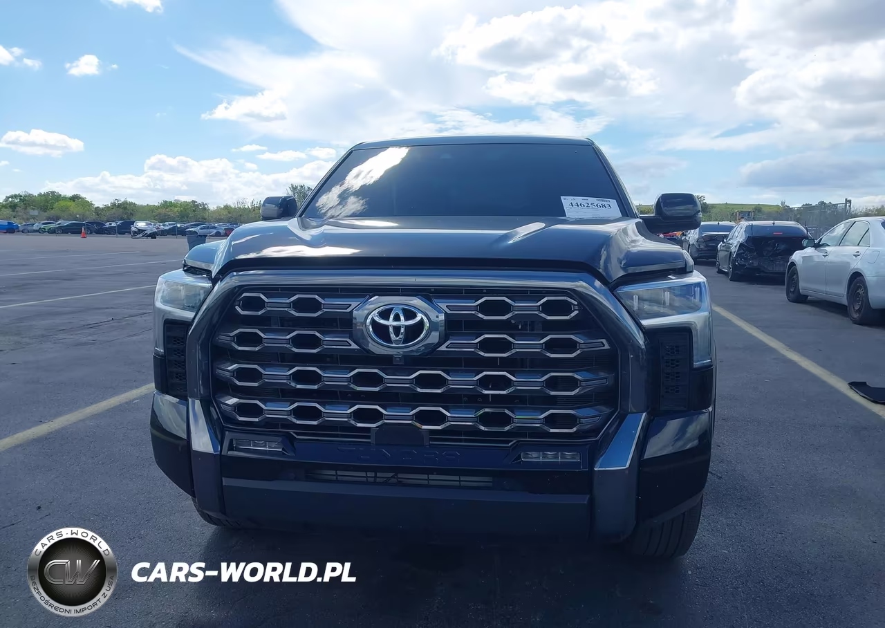 2025 Toyota Tundra Platinum VIN:5TFNA5DB2SX318076 - 12