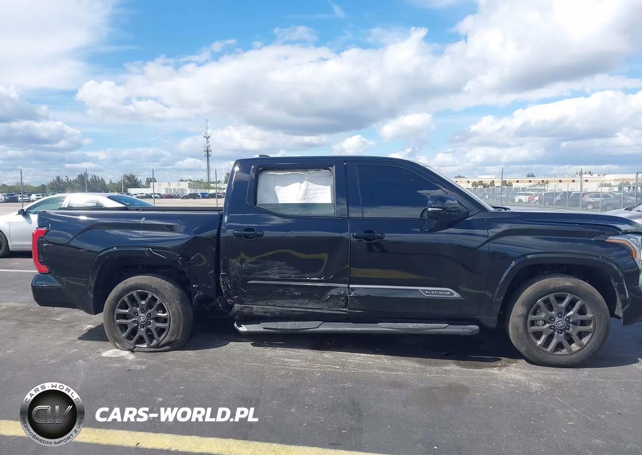 2025 Toyota Tundra Platinum VIN:5TFNA5DB2SX318076 - 13
