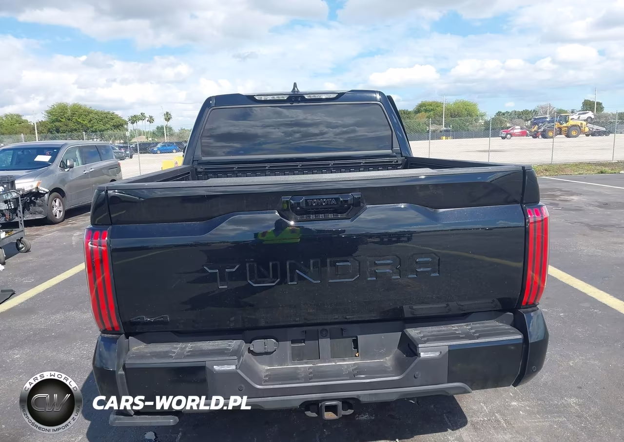 2025 Toyota Tundra Platinum VIN:5TFNA5DB2SX318076 - 16