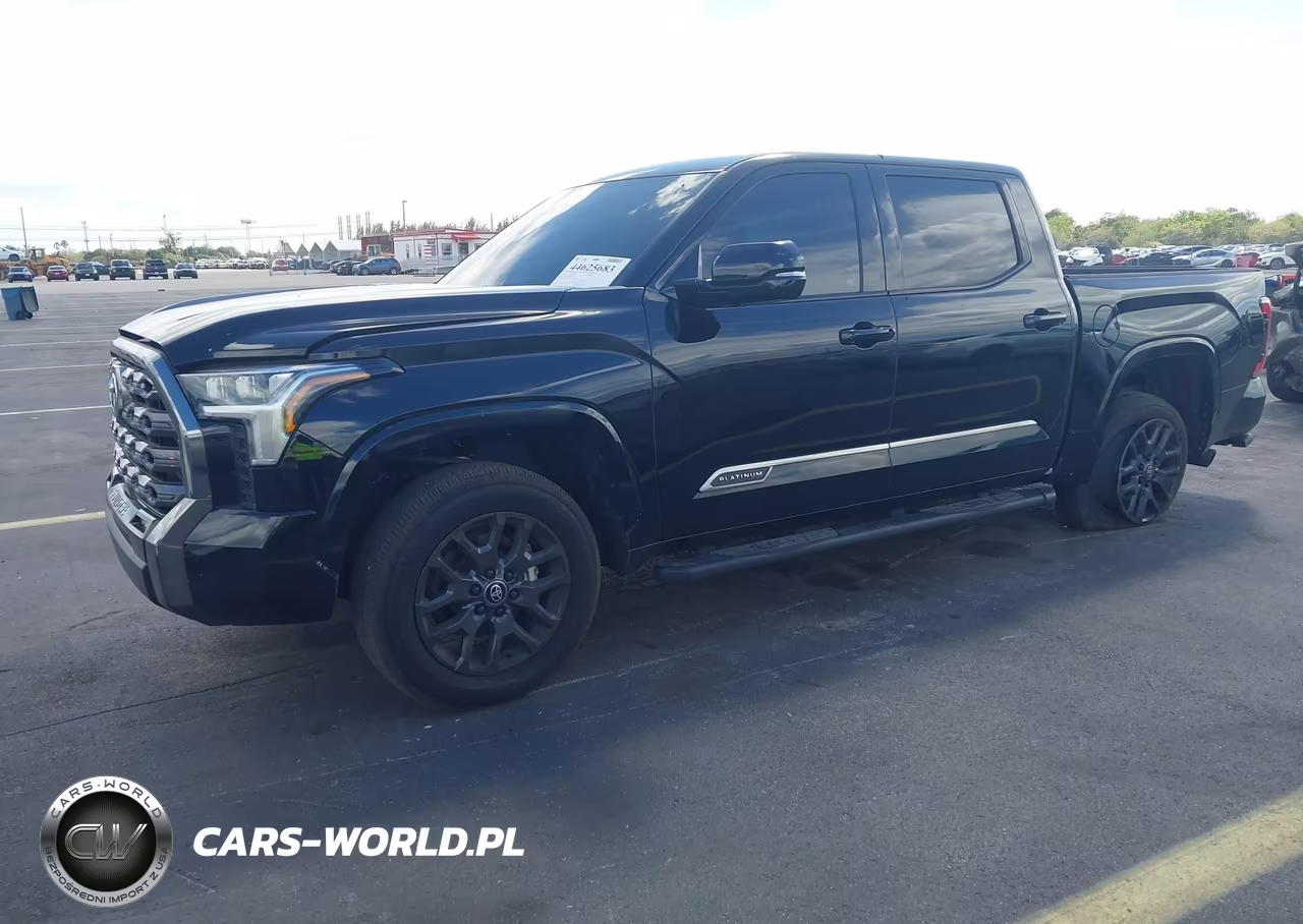 2025 Toyota Tundra Platinum VIN:5TFNA5DB2SX318076 - 2