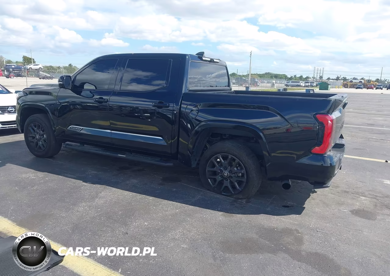 2025 Toyota Tundra Platinum VIN:5TFNA5DB2SX318076 - 3