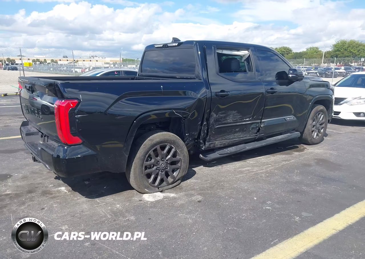 2025 Toyota Tundra Platinum VIN:5TFNA5DB2SX318076 - 4