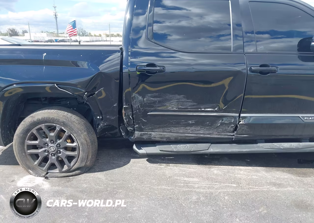 2025 Toyota Tundra Platinum VIN:5TFNA5DB2SX318076 - 6