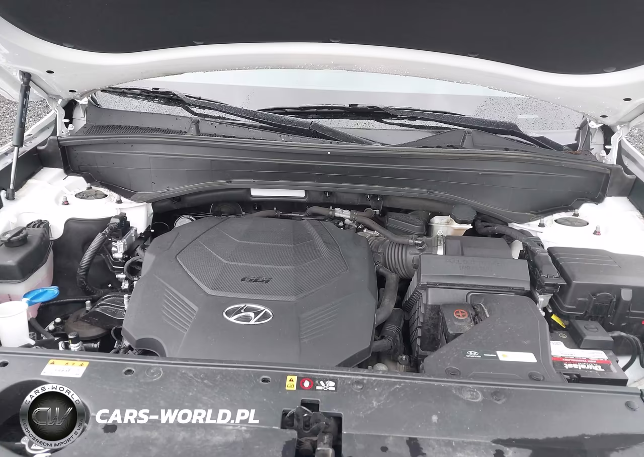 2022 Hyundai Palisade Calligraphy VIN:KM8R74HEXNU433931 - 10