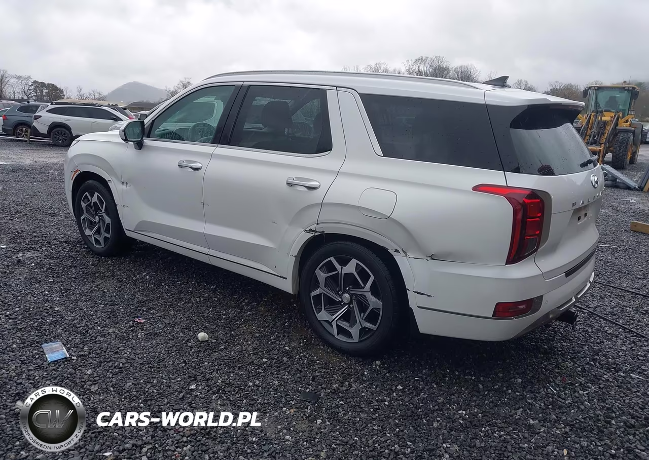 2022 Hyundai Palisade Calligraphy VIN:KM8R74HEXNU433931 - 3