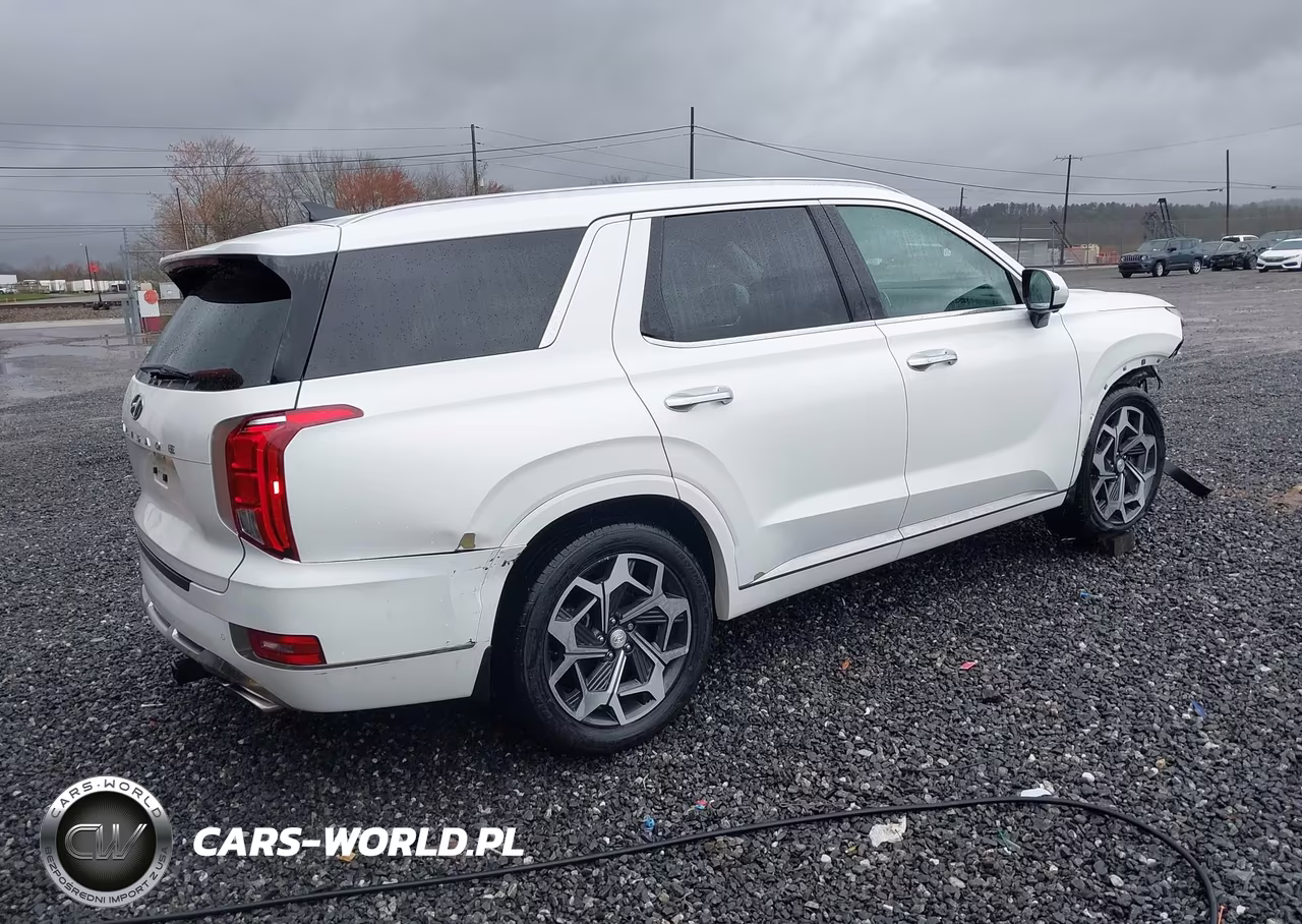 2022 Hyundai Palisade Calligraphy VIN:KM8R74HEXNU433931 - 4