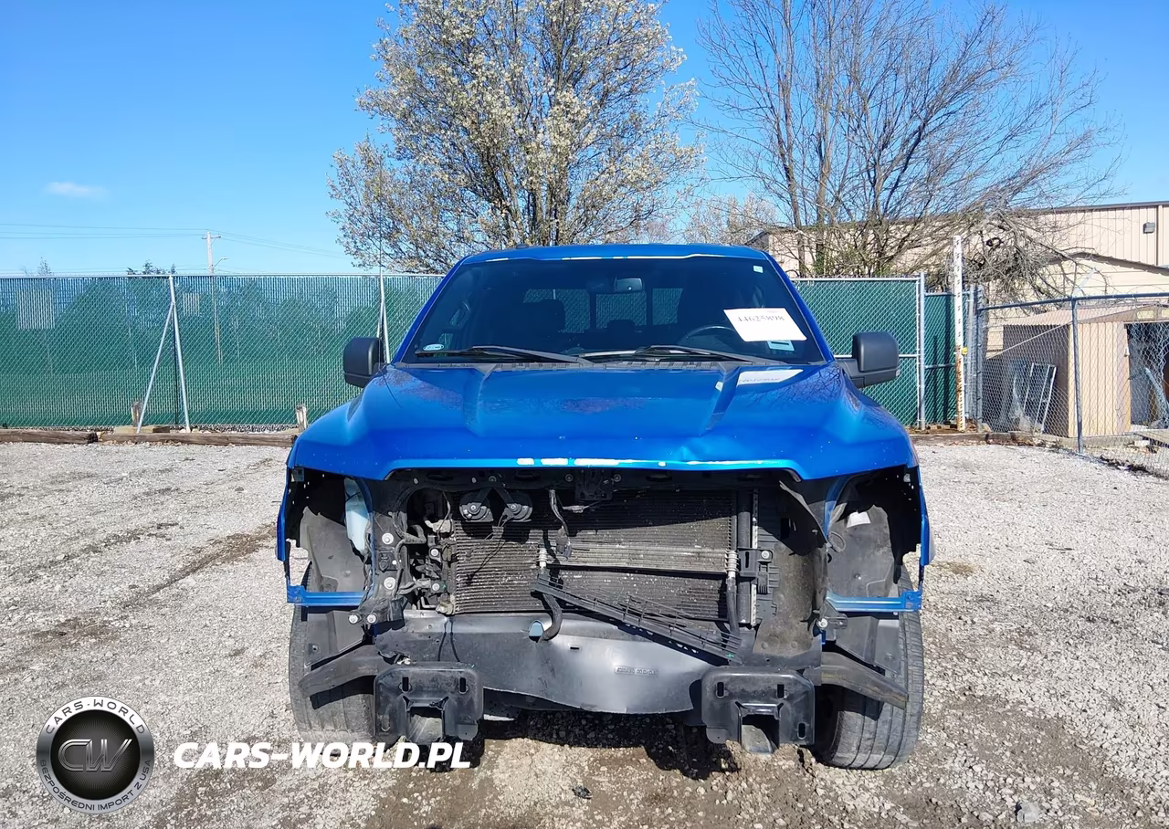 2015 Ford F-150 Xlt VIN:1FTEW1CF3FKE56324 - 12