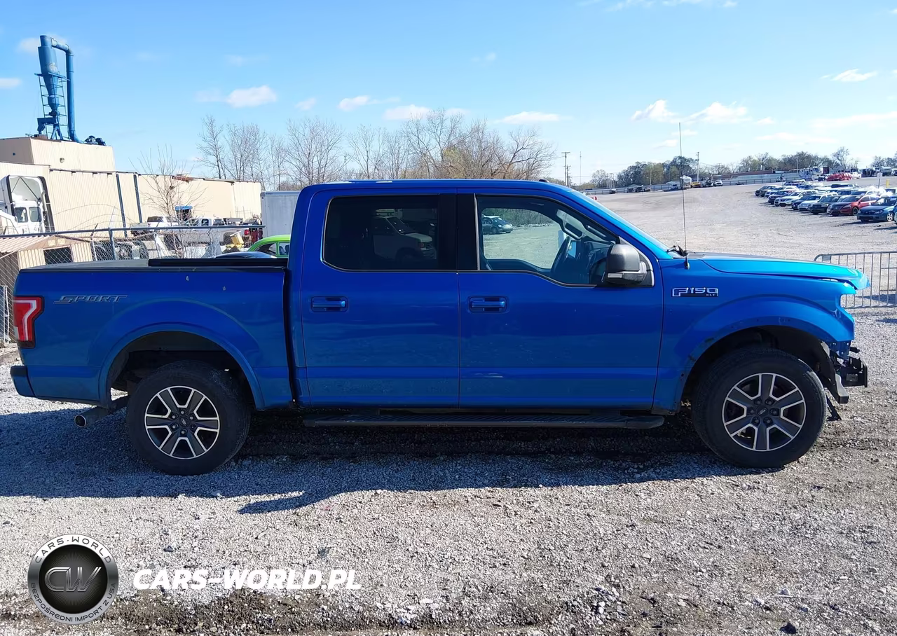 2015 Ford F-150 Xlt VIN:1FTEW1CF3FKE56324 - 13