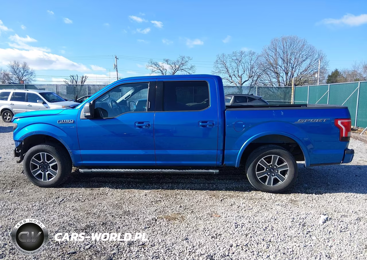2015 Ford F-150 Xlt VIN:1FTEW1CF3FKE56324 - 14