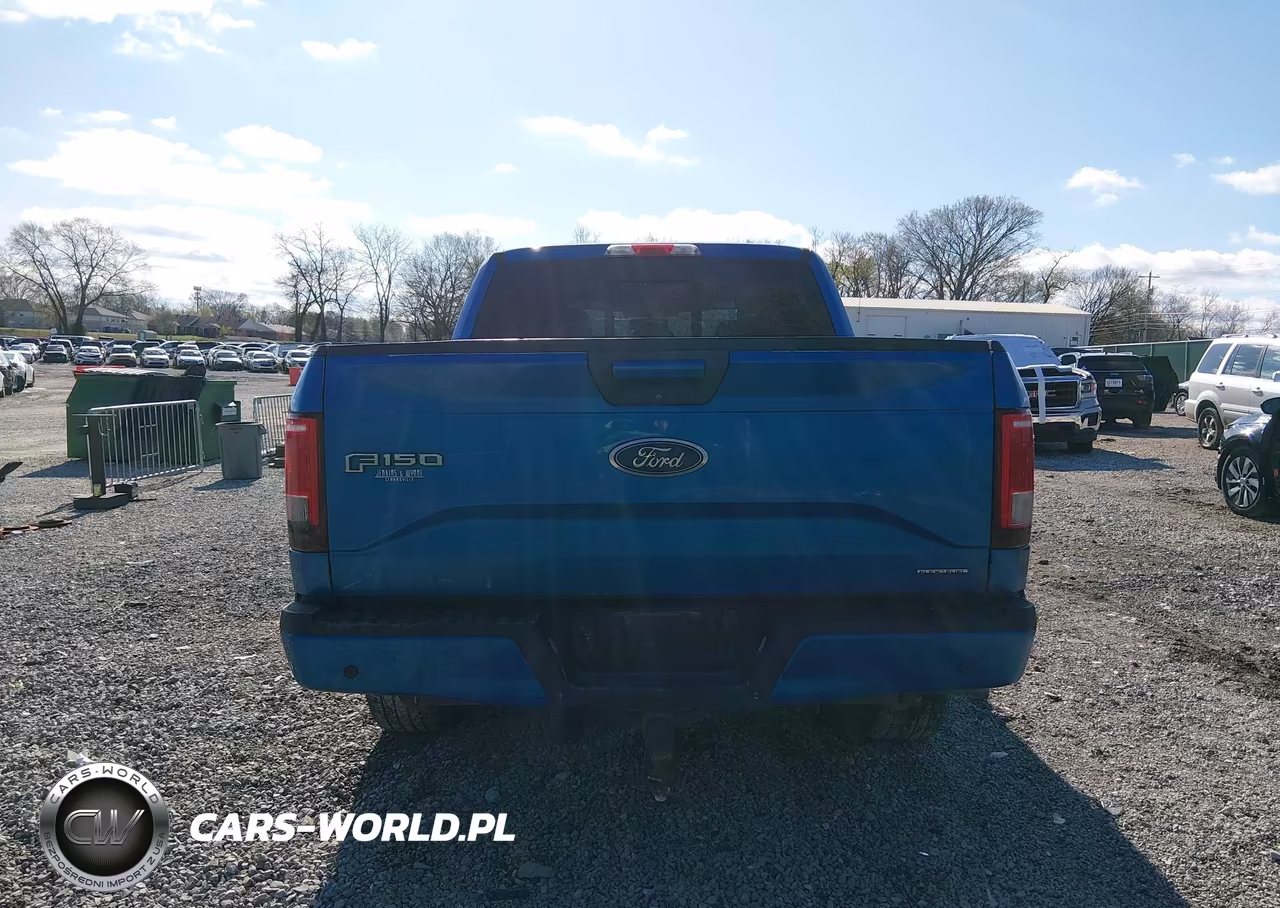2015 Ford F-150 Xlt VIN:1FTEW1CF3FKE56324 - 16