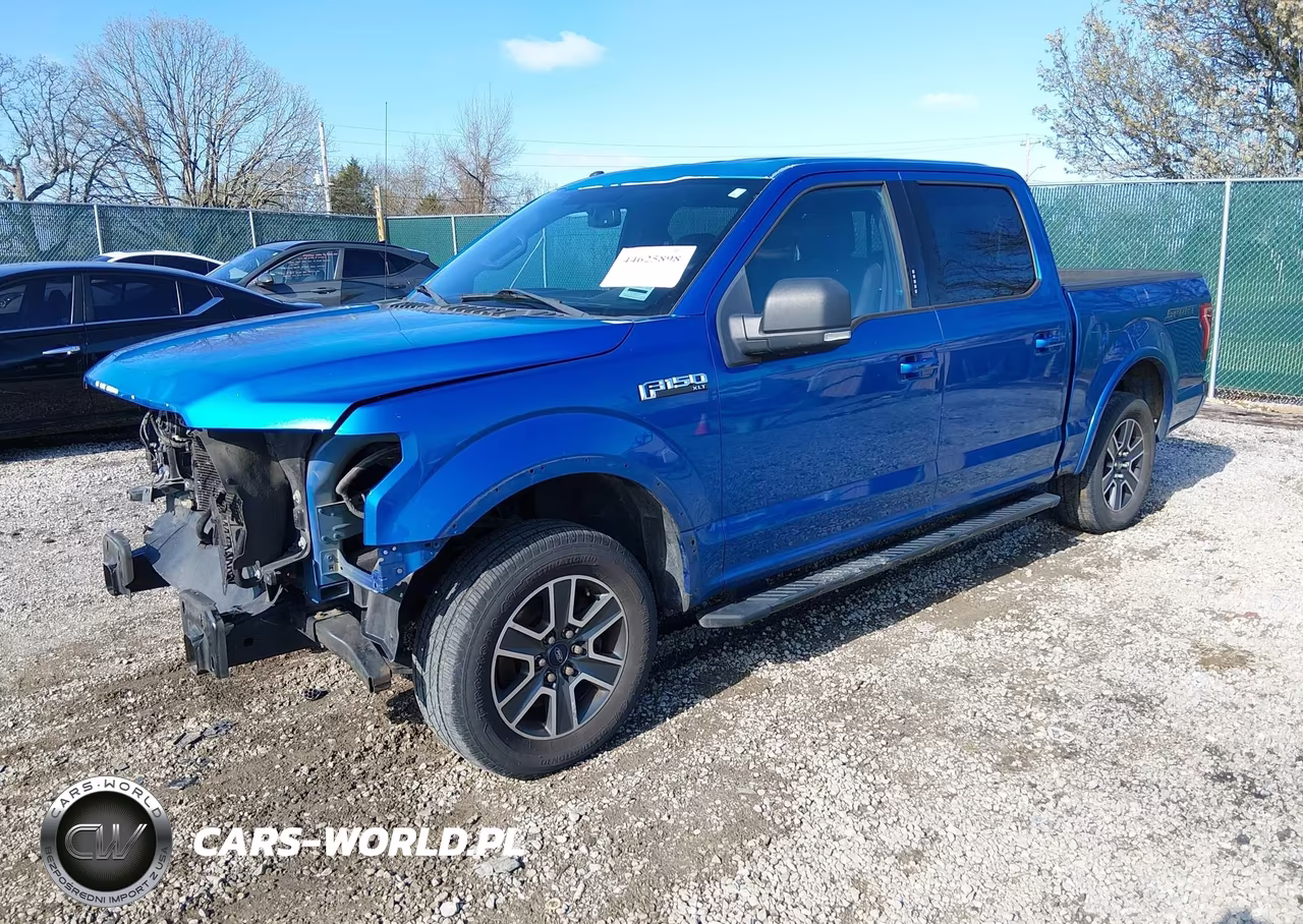 2015 Ford F-150 Xlt VIN:1FTEW1CF3FKE56324 - 2