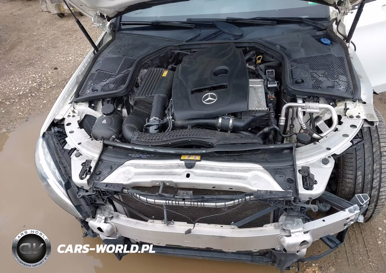2018 Mercedes-Benz C 300 VIN:WDDWJ4JBXJF745132 - 10