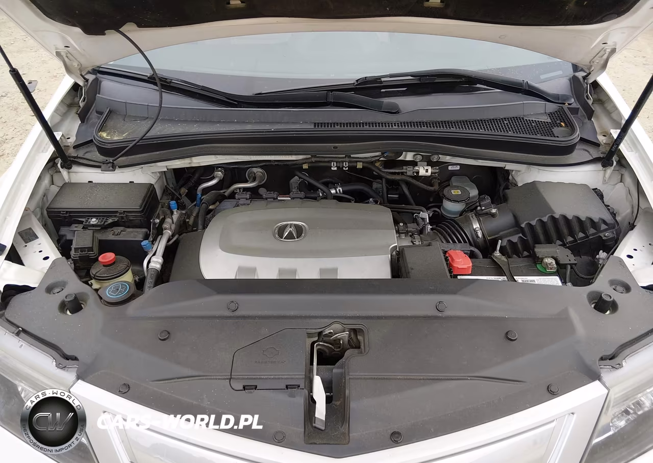 2010 Acura Mdx Advance Package VIN:2HNYD2H78AH501634 - 10
