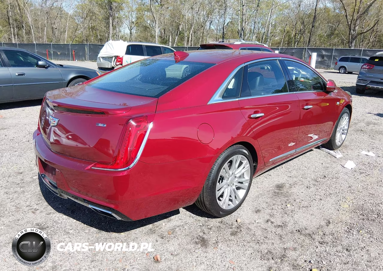 2019 Cadillac Xts Luxury VIN:2G61M5S30K9122043 - 4