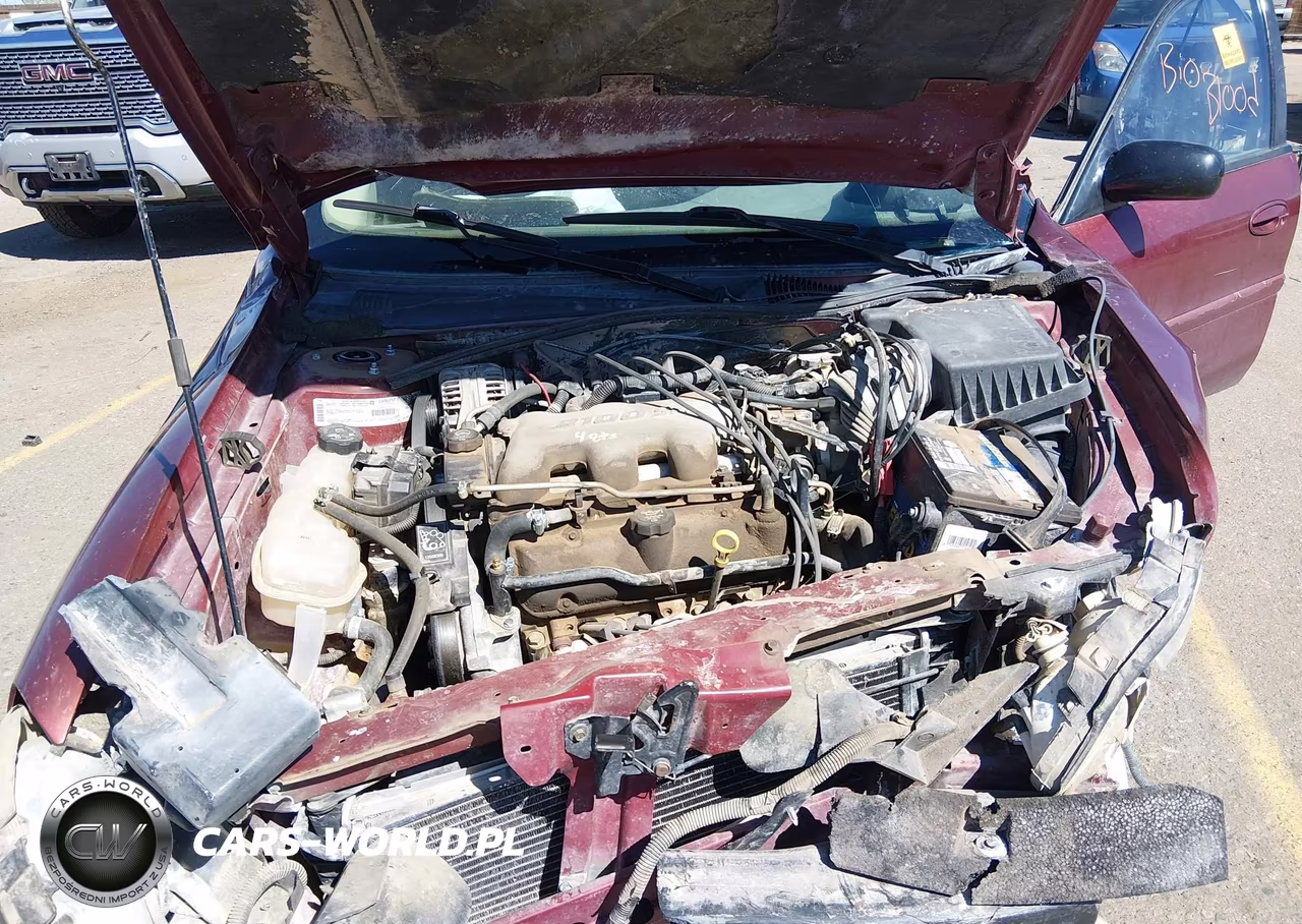 2003 Chevrolet Malibu VIN:1G1ND52J23M698744 - 10