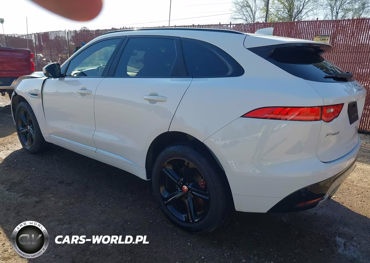2019 Jaguar F-Pace S VIN:SADCM2FV5KA369356 - 3