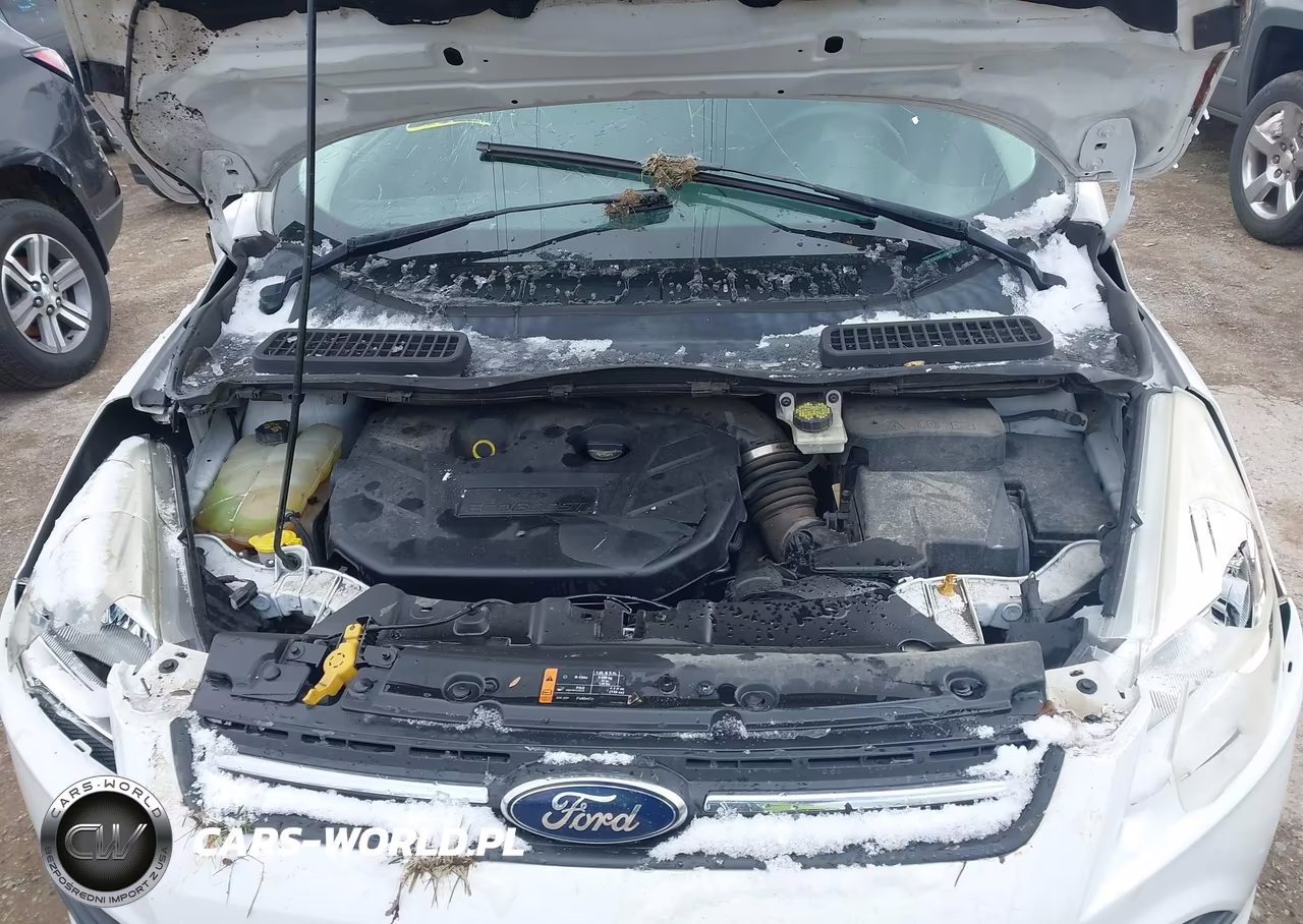 2016 Ford Escape Se VIN:1FMCU0G96GUA54407 - 10