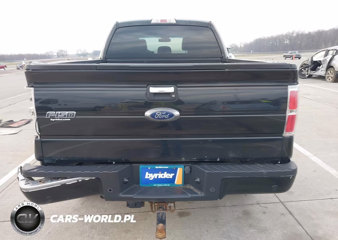 2013 Ford F-150 Fx4-King Ranch-Lariat-Limited-Platinum-Xl-Xlt VIN:1FTFW1ET2DFD70693 - 16