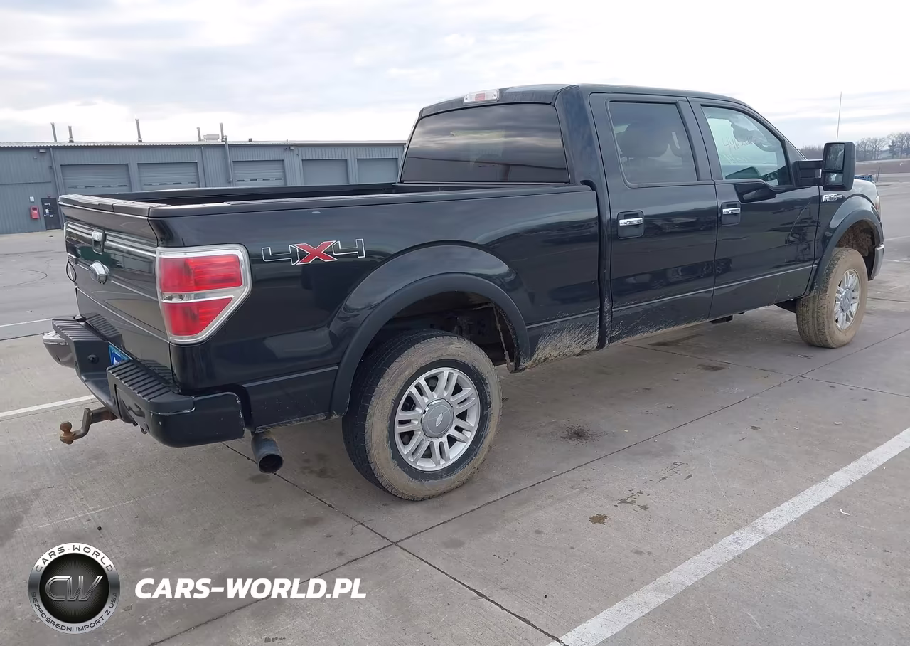 2013 Ford F-150 Fx4-King Ranch-Lariat-Limited-Platinum-Xl-Xlt VIN:1FTFW1ET2DFD70693 - 4
