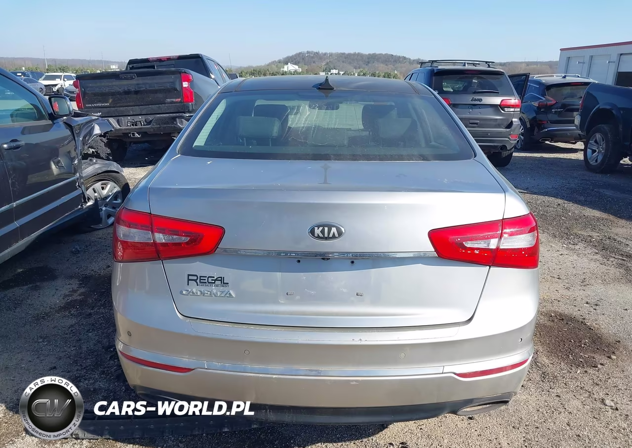 2014 Kia Cadenza Premium VIN:KNALN4D76E5139196 - 17