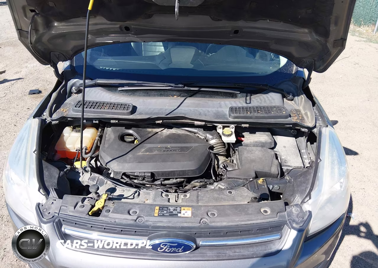 2014 Ford Escape Se VIN:1FMCU0GX1EUC07366 - 10