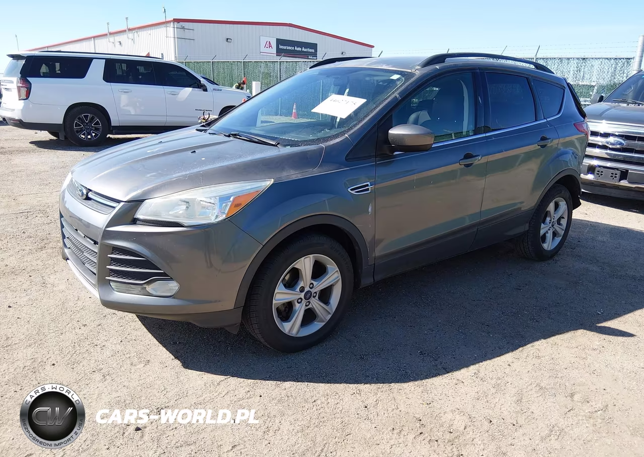 2014 Ford Escape Se VIN:1FMCU0GX1EUC07366 - 2