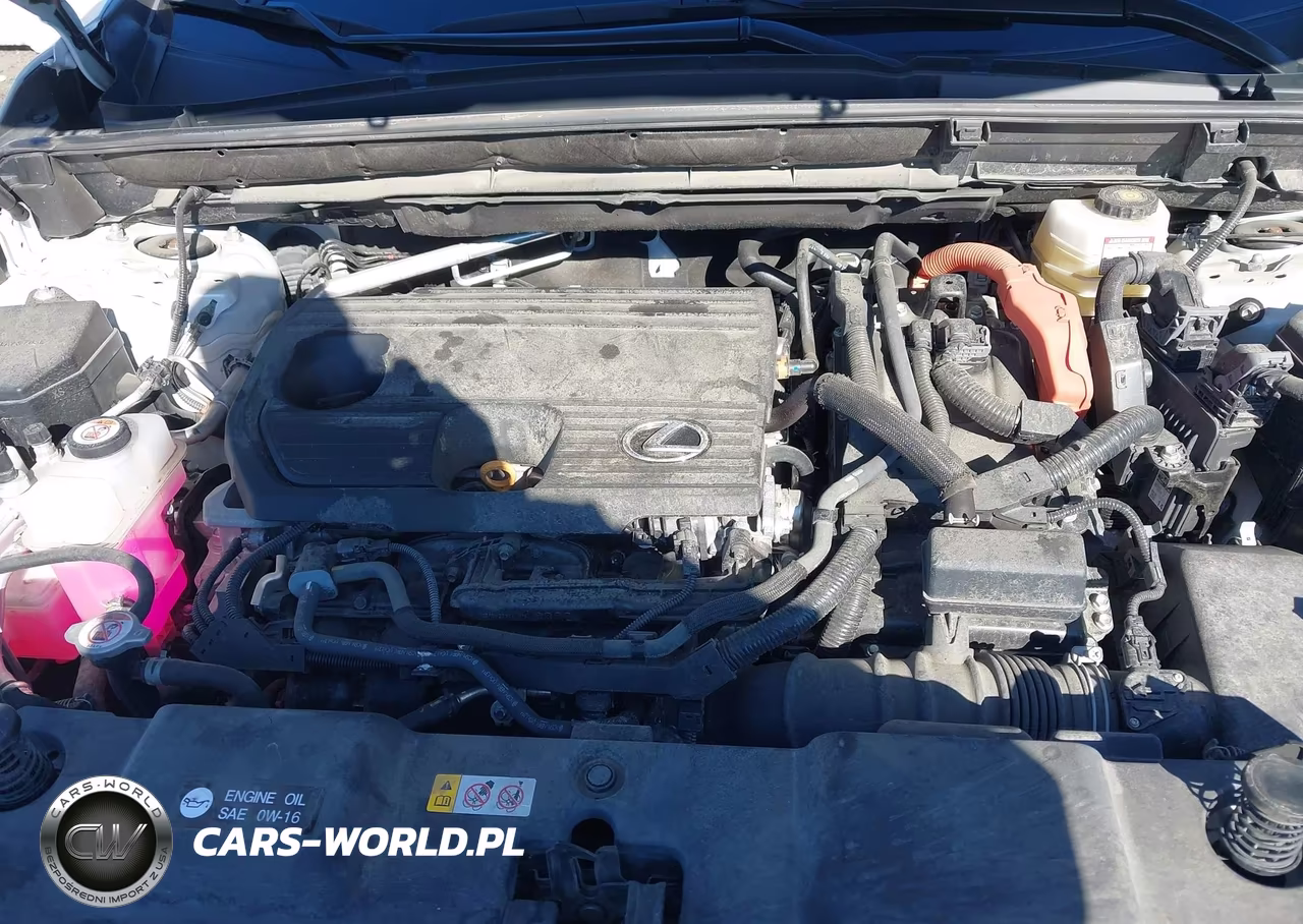2025 Lexus Nx Nx 350H VIN:2T2AKCEZ3SC031903 - 10