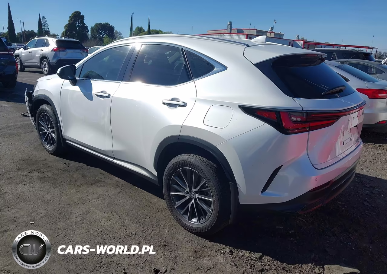 2025 Lexus Nx Nx 350H VIN:2T2AKCEZ3SC031903 - 3