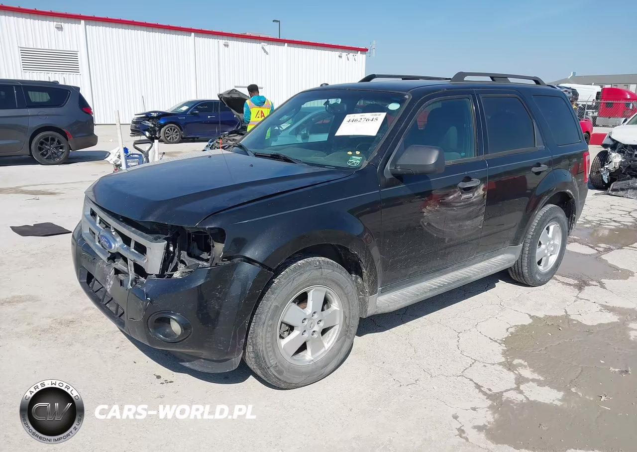 2011 Ford Escape Xlt VIN:1FMCU0DG0BKC10562 - 2