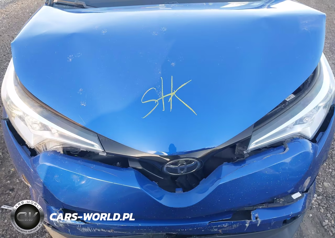 2018 Toyota C-Hr Xle Premium VIN:NMTKHMBX9JR048614 - 10