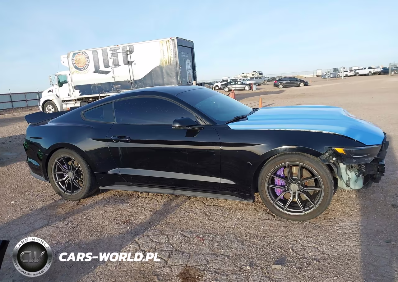 2016 Ford Mustang Ecoboost VIN:1FA6P8THXG5272743 - 14