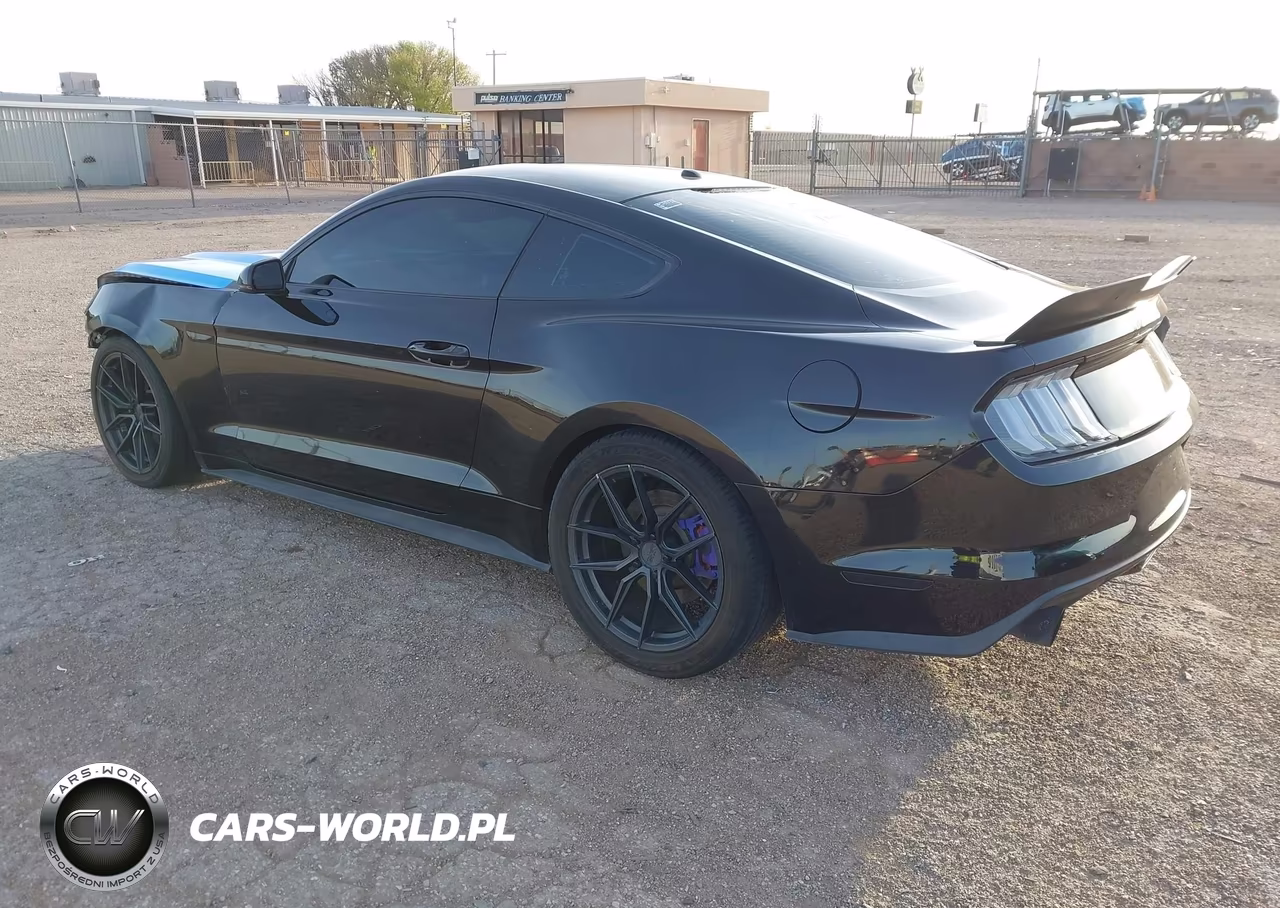 2016 Ford Mustang Ecoboost VIN:1FA6P8THXG5272743 - 3